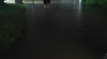 退役不褪色 青春勇担当—我院两名退伍学子雨中暖心护航师生安全